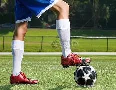 女排世界杯,荷兰队连胜,两场,3377体育官网,3377体育网页版入口,3377体育h5在线官网,3377体育app下载