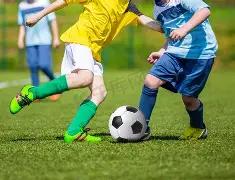 体育官网,资讯,3377体育官网,3377体育官网,3377体育网页版入口,3377体育h5在线官网,3377体育app下载