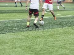 体育官网,资讯,3377体育官网,3377体育官网,3377体育网页版入口,3377体育h5在线官网,3377体育app下载