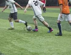 年石家庄实,验中学阳光,体育节篮球,3377体育官网,3377体育网页版入口,3377体育h5在线官网,3377体育app下载