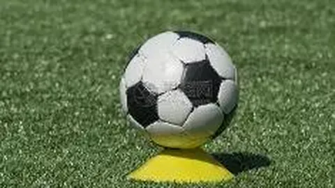 3377体育官网 资讯 100049 c47