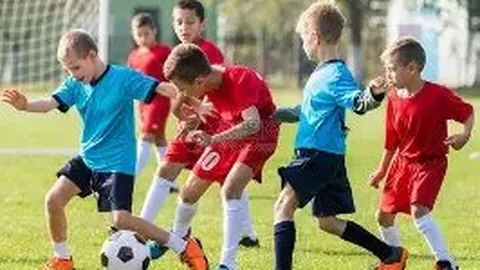 3377体育官网 产品 100023 b60