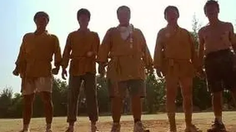 3377体育官网 产品 090204 qh1