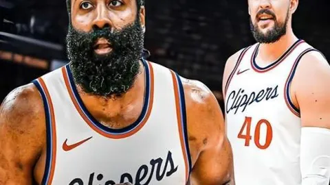 3377体育官网 资讯 090650 ivp