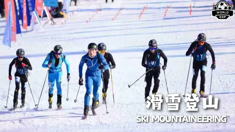 《英超冬季转会风云：多队觊觎伊万-托尼，巨额年薪成转会路上的绊脚石？》